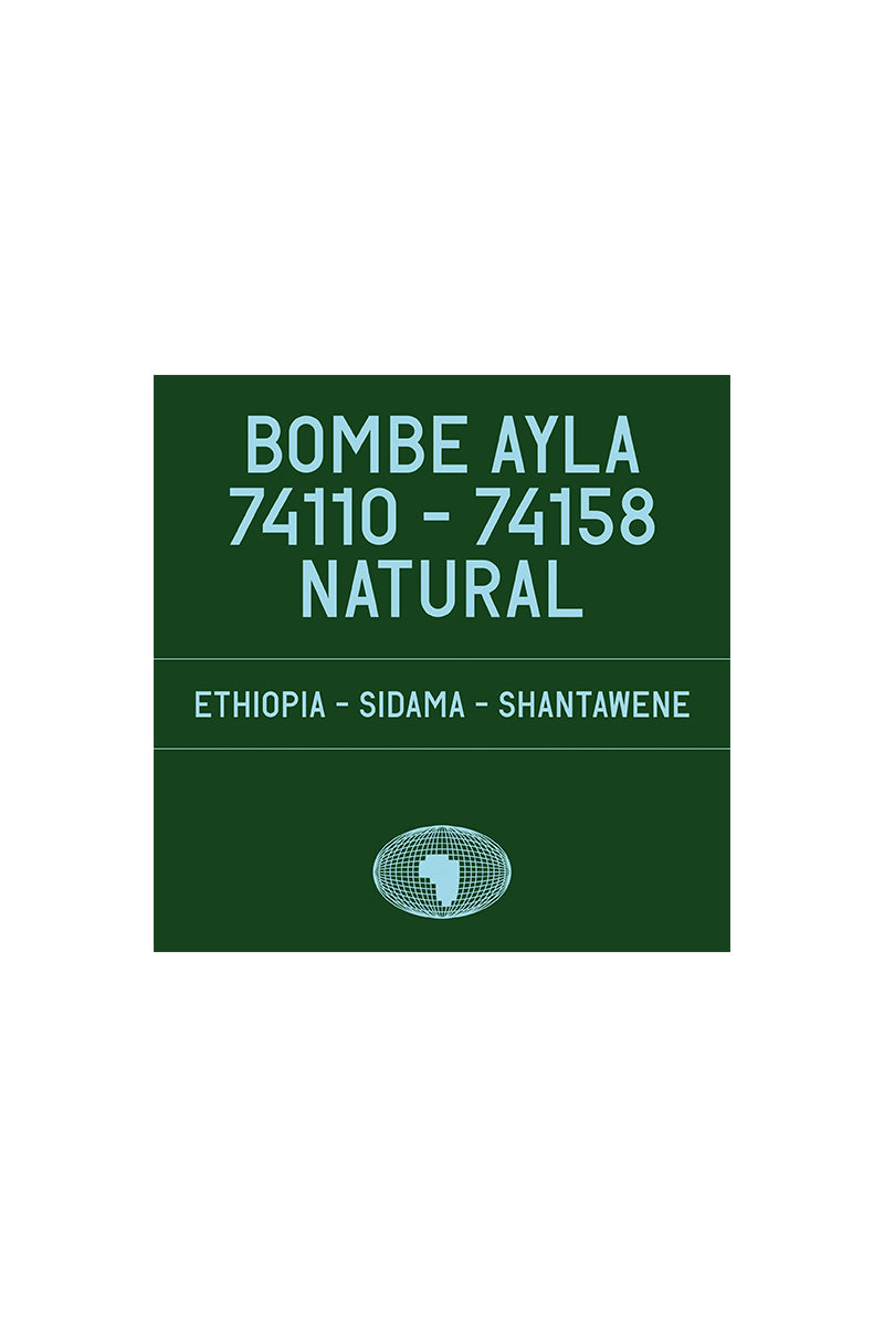 Bombe Ayla - Ethiopia (200g)