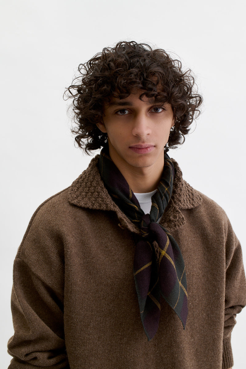 Salazar Wool Scarf - Amber Check