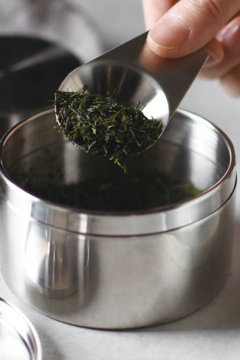 Leaves to Tea Canister - Stainless Steel (250ml)