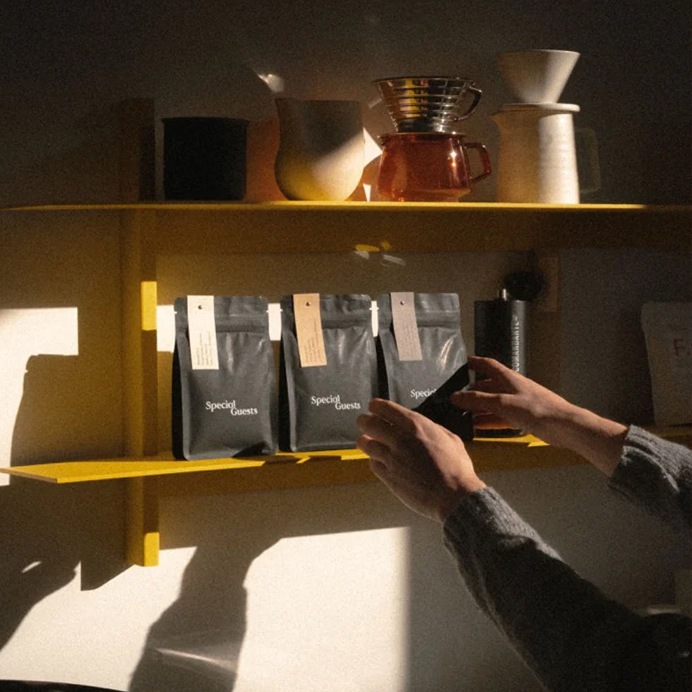 Special Guests, London