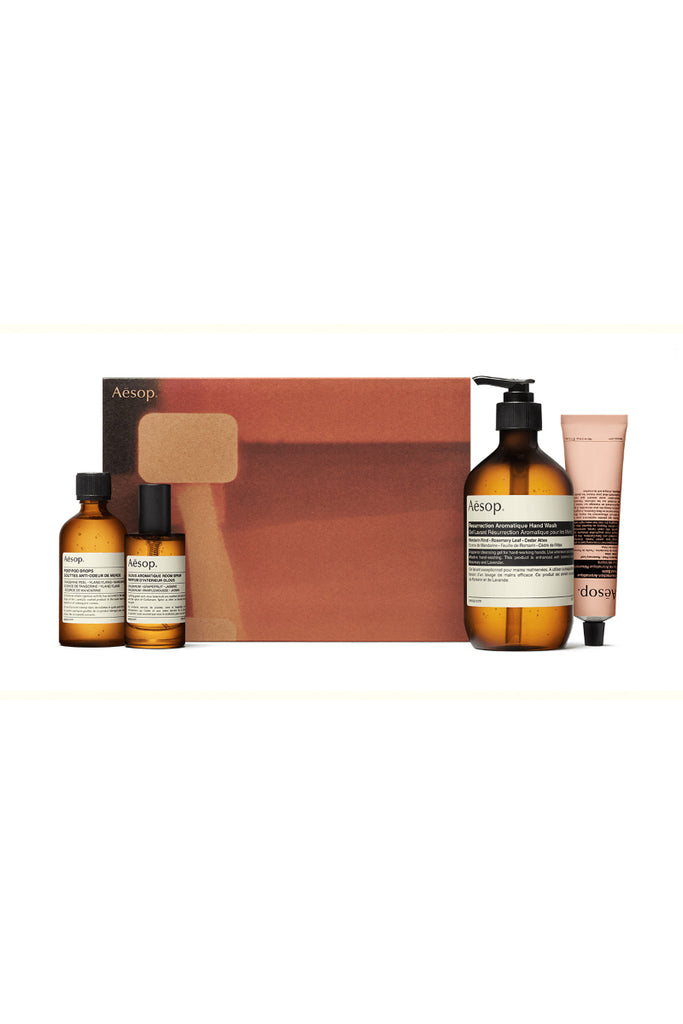 Aesop Seasonal Gift Kit - Hands & Home