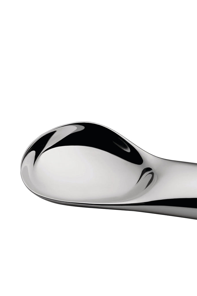 Koki Ice Cream Scoop - Glossy Steel