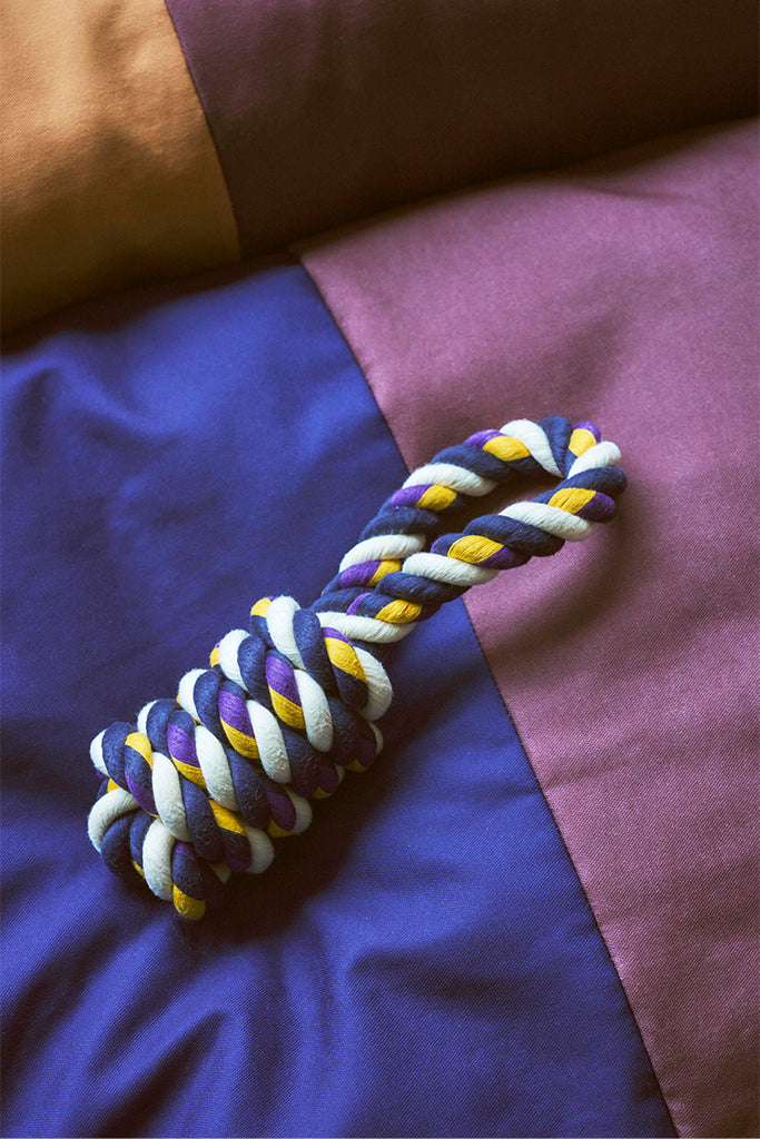 HAY Dogs Rope Toy - Blue, Purple, Ochre